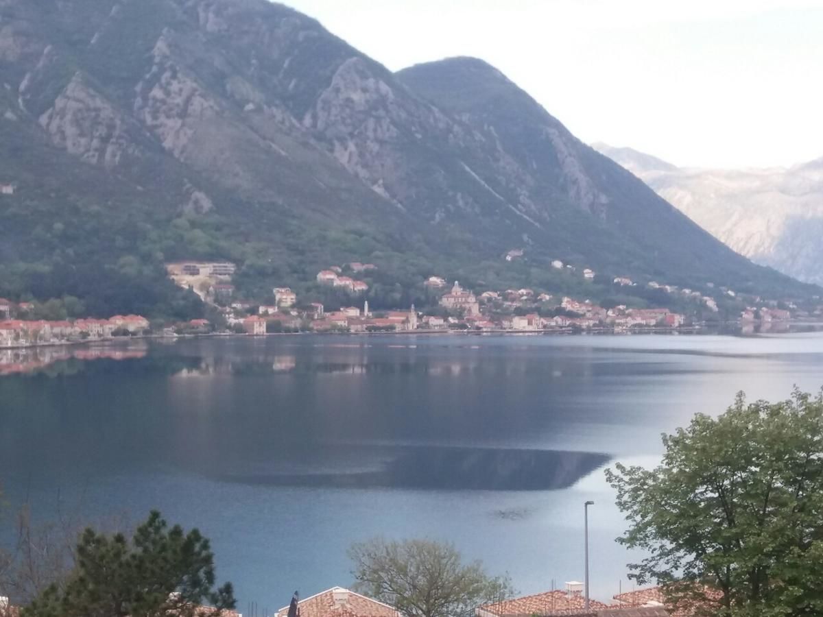 Апартаменты Apartments Dragan Котор