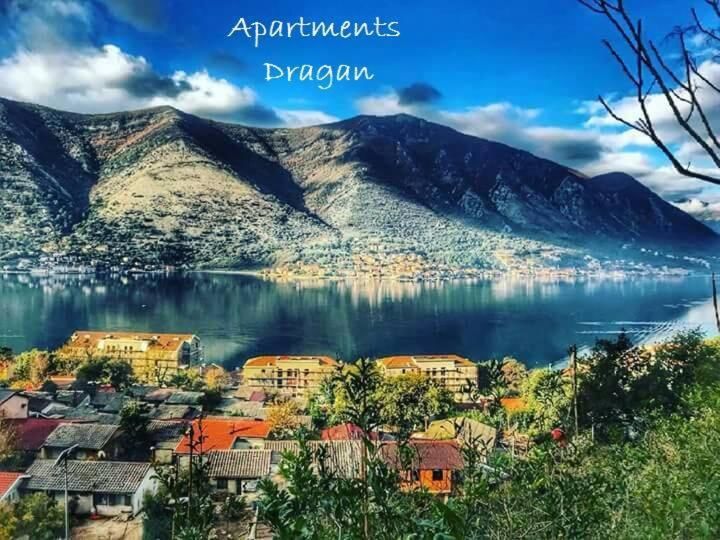 Апартаменты Apartments Dragan Котор